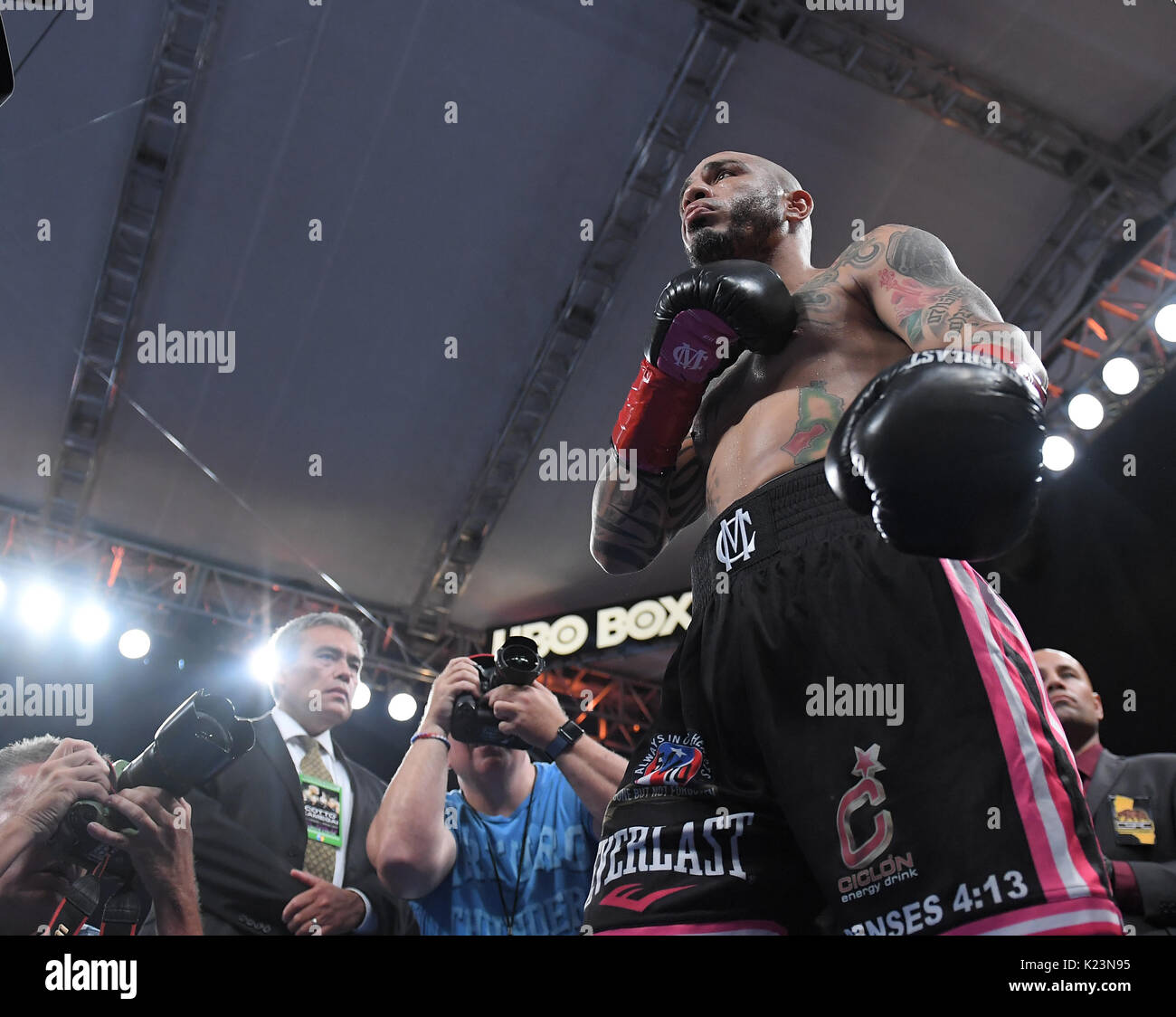 Carson, California, USA. 26th Aug, 2017. Miguel Cotto (PUR) Boxing : Miguel Cotto of Puerto Rico before the vacant WBO Super Welterweight title bout at StubHub Center in Carson, California, United States . Credit: AFLO/Alamy Live News Stock Photo