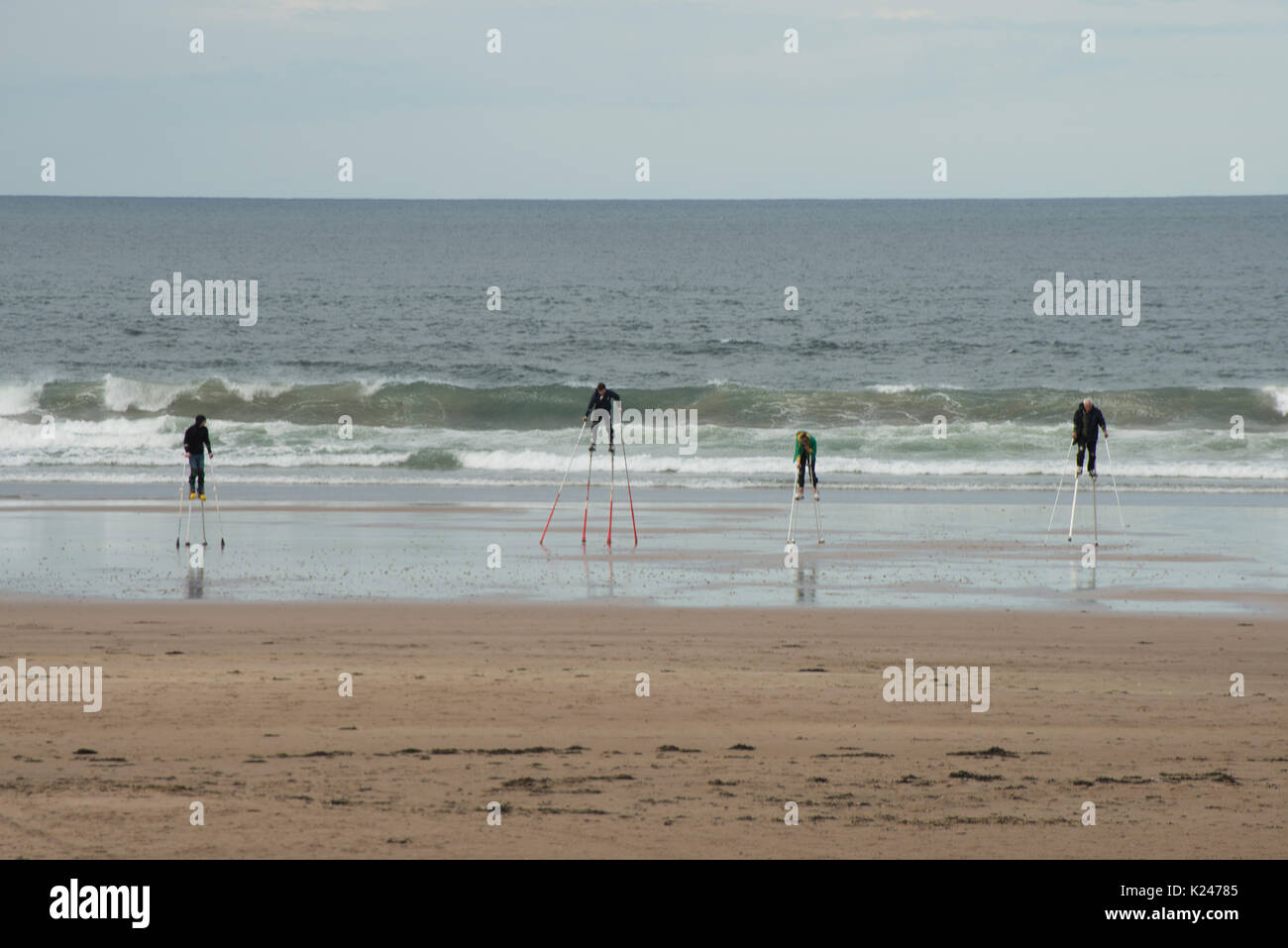 Four stilt walkers practising on a beach in Northumberland with the sea as a backdrop Stock Photo