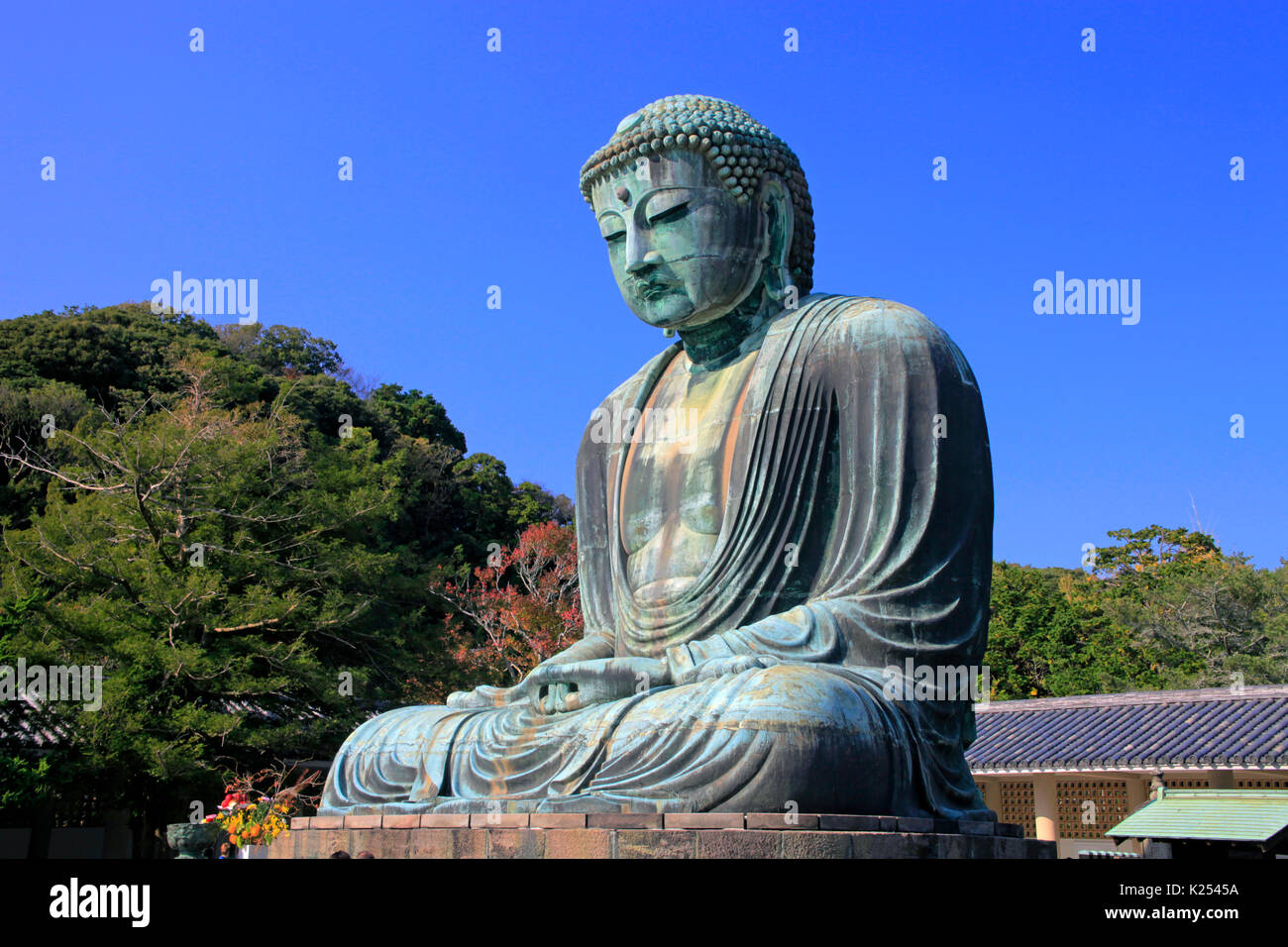 The Great Buddha of Kamakura at Kotokuin Temple in Kamakura city ...