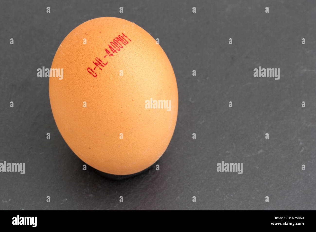 One brown Dutch egg clearly showing the egg code lying on dark grey slate Stock Photo