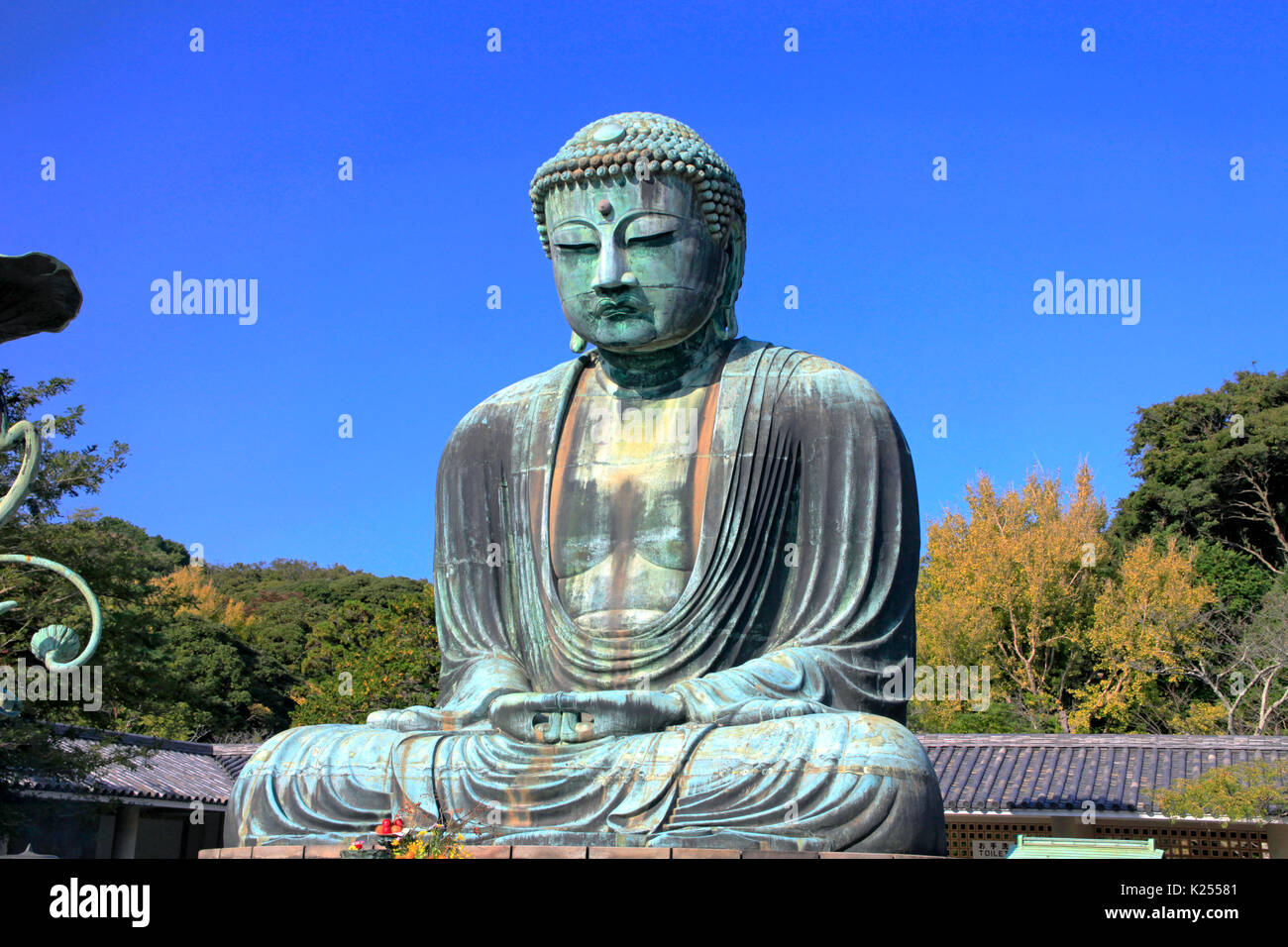 The Great Buddha of Kamakura at Kotokuin Temple in Kamakura city ...