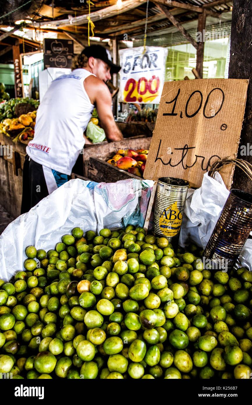 Umbu, typical fruit from northeastern Brazil, for sale at a public market known as Feira do Malhado. Ilheus, Bahia, Brazil. Stock Photo