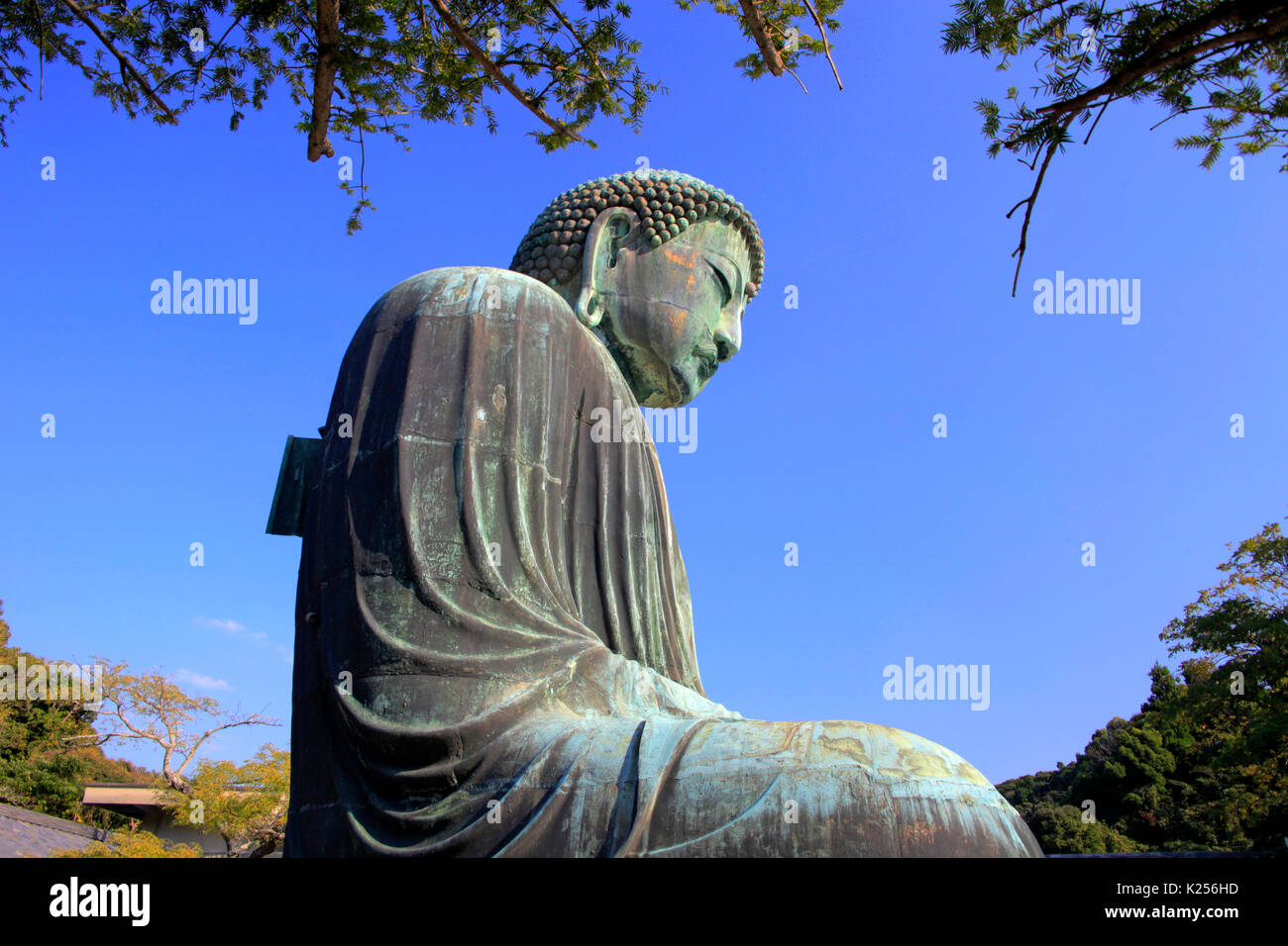 The Great Buddha of Kamakura at Kotokuin Temple in Kamakura city ...