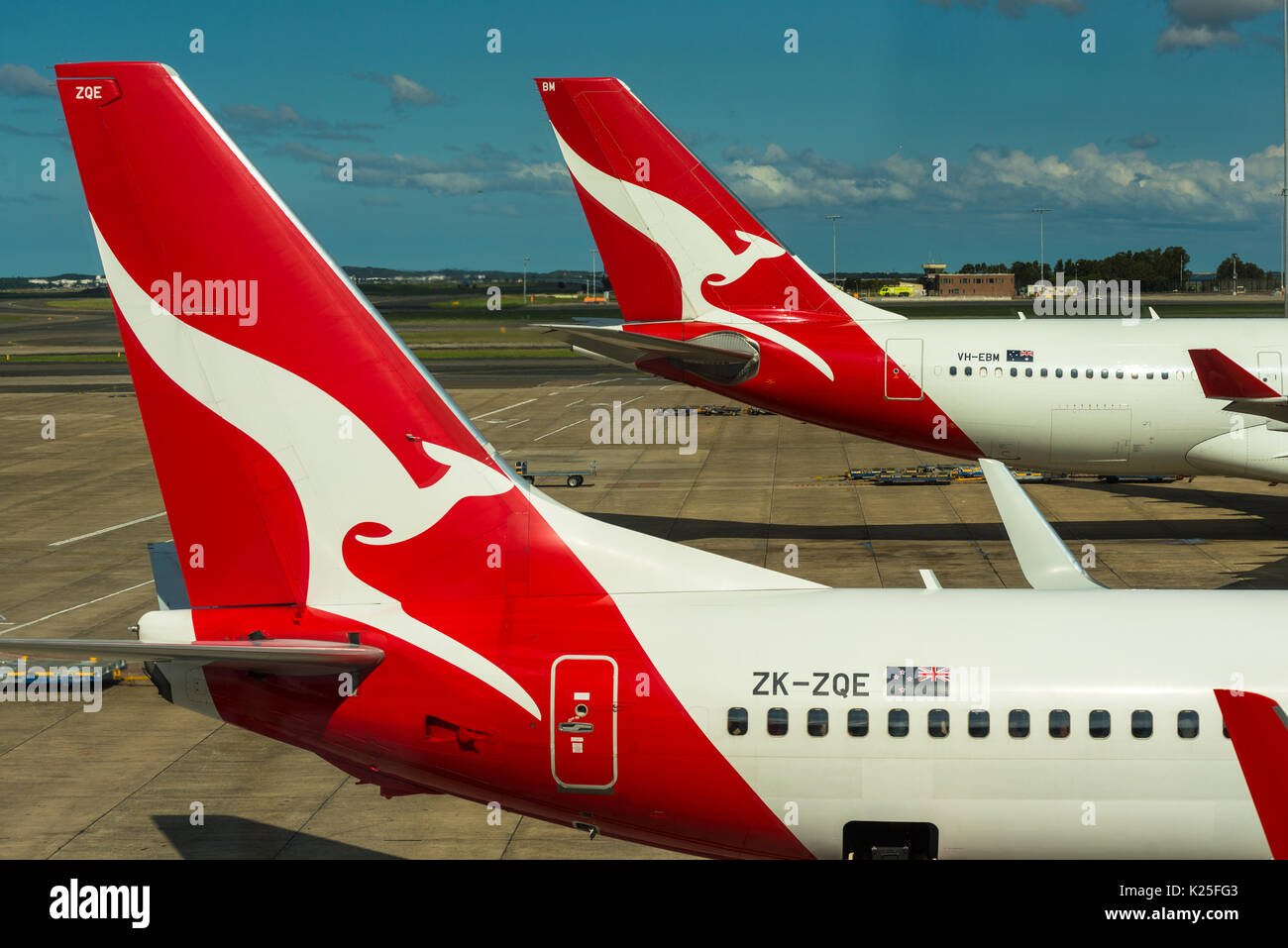 Qantas passenger aircraft tails with distinctive kangaroo logo at Sydney International Airport, New South Wales, Australia. Stock Photo
