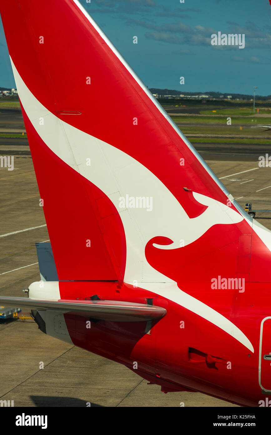 Qantas passenger aircraft tails with distinctive kangaroo logo at Sydney International Airport, New South Wales, Australia. Stock Photo