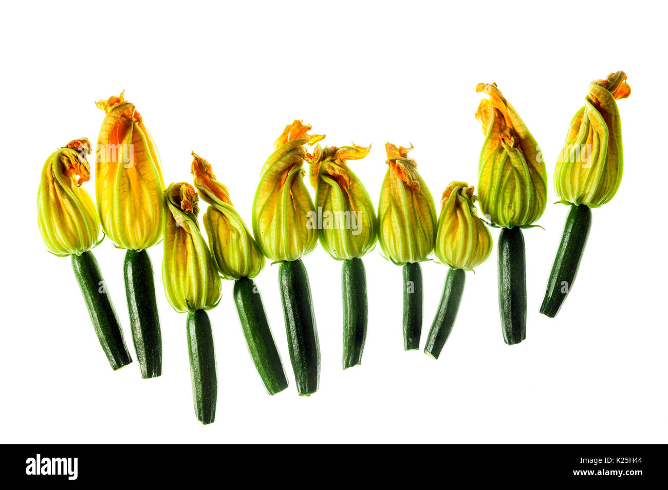 Fresh zucchini flowers top view isolated on white Stock Photo Alamy