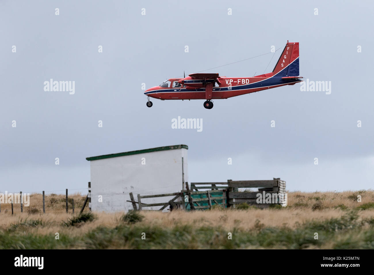 Falkland Island Government Air Service (FIGAS) 8 seater twin prop aeroplane landing at Sealion island Falklands Malvinas Stock Photo