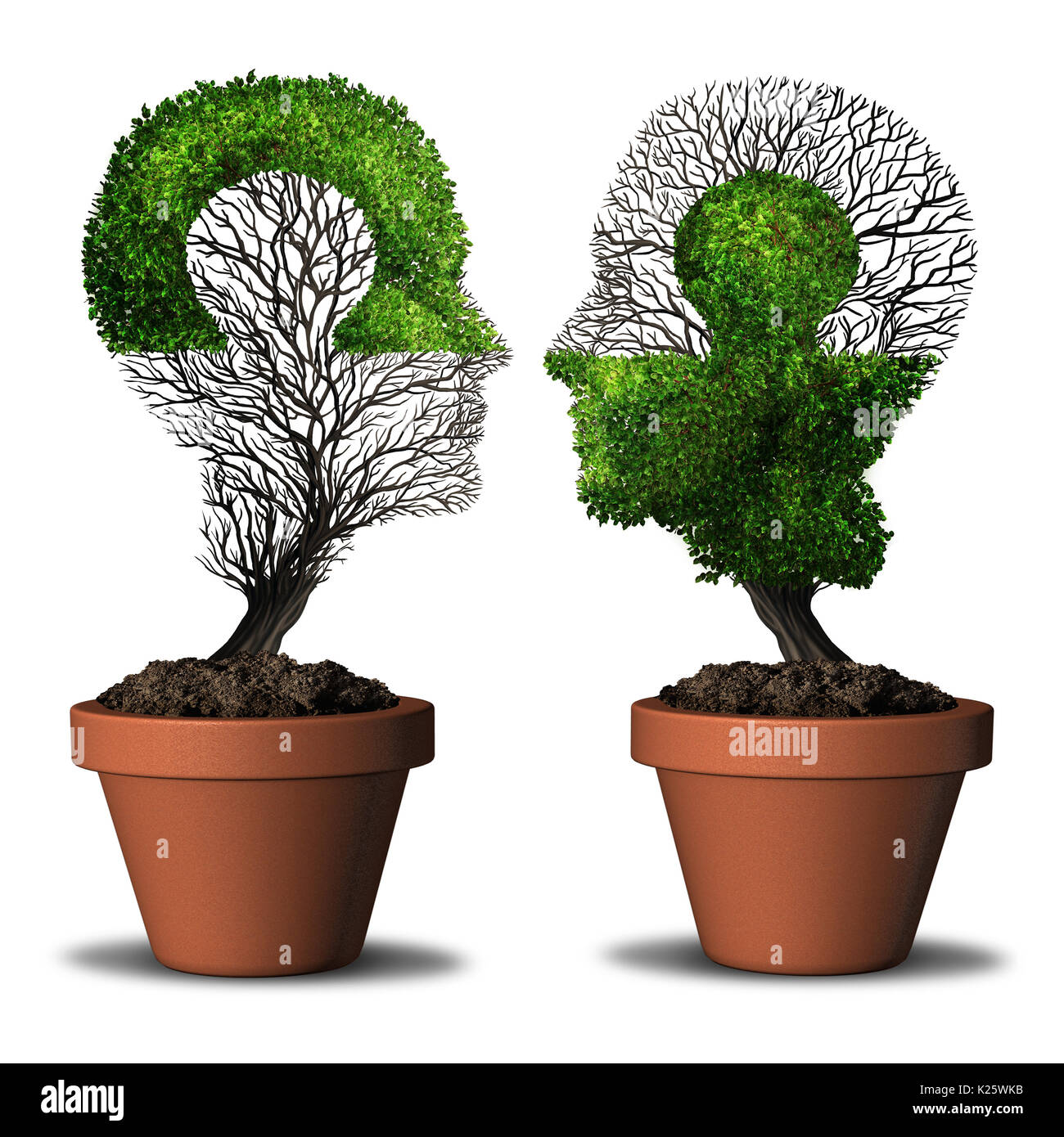 Perfect partner combination relationship and dual friendship concept as two trees shaped as a human head with a jigsaw puzzle. Stock Photo
