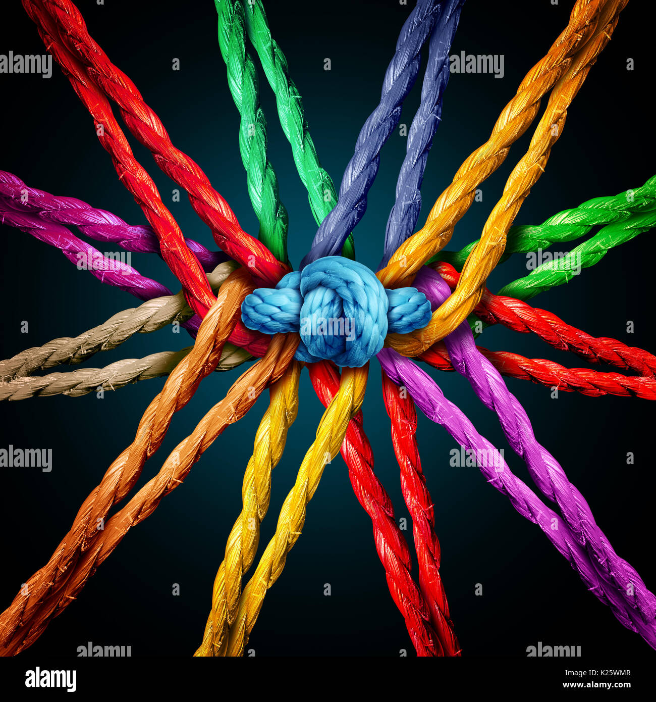 Holding together group as different ropes connected and tied and linked together in the center by a knot as a strong unbreakable chain. Stock Photo