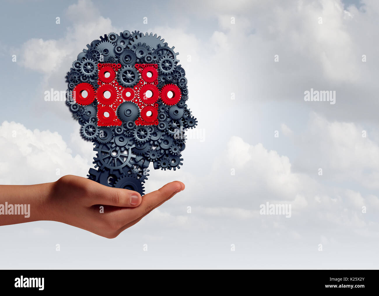 Business skills training and corporate learning concept as a hand holding a group of gear objects shaped as a human head with a jigsaw puzzle. Stock Photo