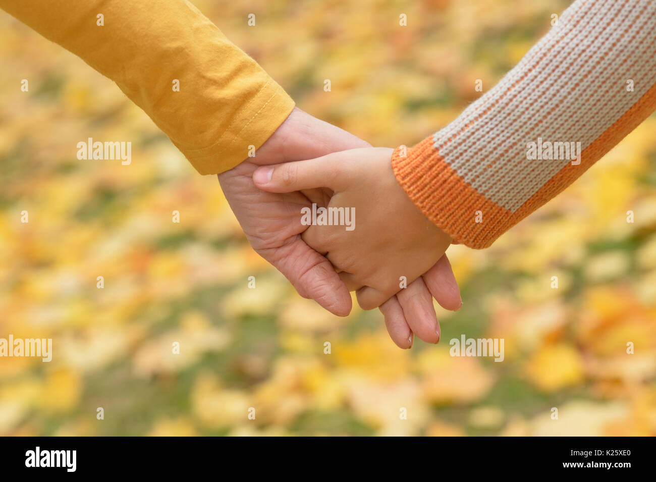 Two hands together in autumn park close up Stock Photo - Alamy