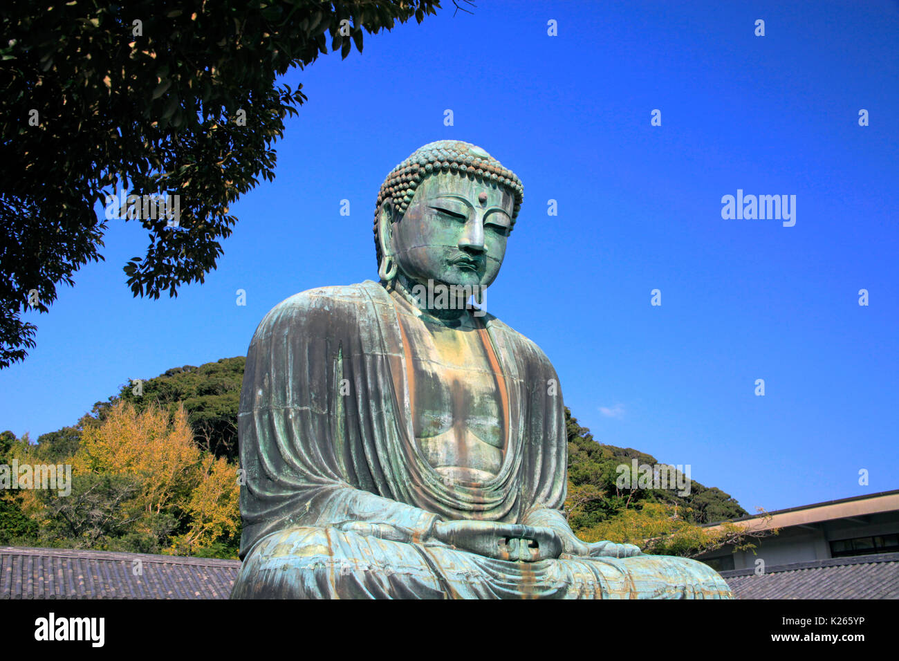 The Great Buddha of Kamakura at Kotokuin Temple in Kamakura city ...