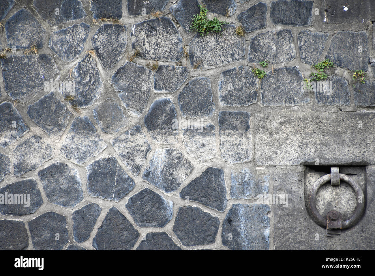 Weeds wall hi-res stock photography and images - Alamy