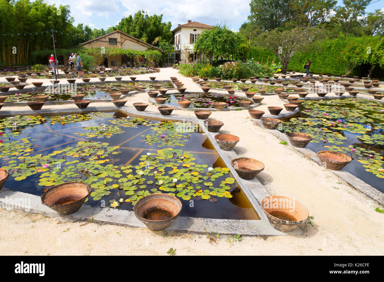The water gardens of Latour Marliac, le Temple sur Lot, Lot et Garonne, Aquitaine, France Stock Photo