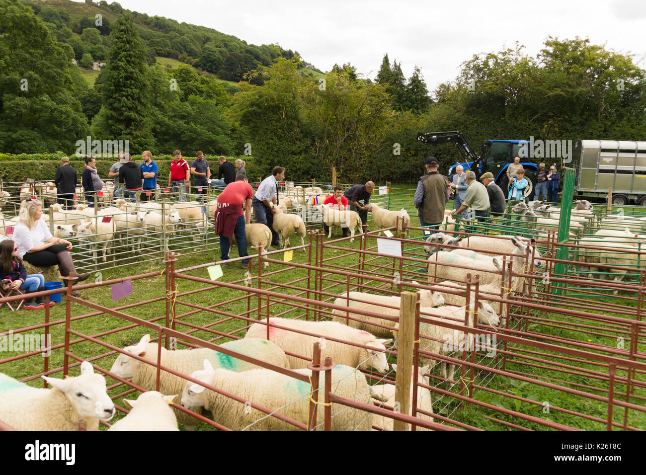 Farmers and their prize sheep competing in the annual Ceiriog Valley Sheep Dog Trials in Glyn Ceiriog North Wales Stock Photo