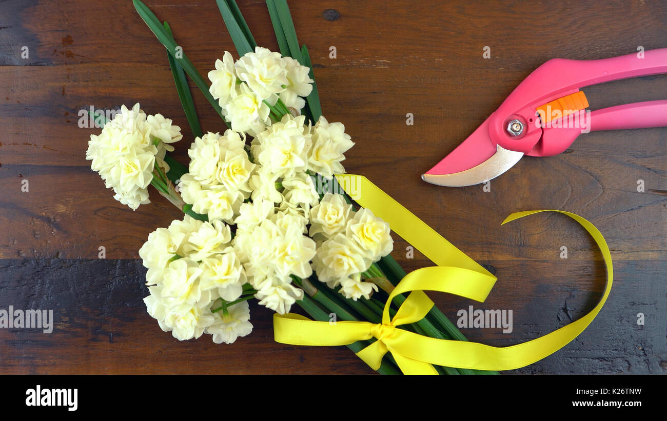 Spring ovehead with Springtime Erlicheer jonquil daffodils on a rustic wood table background. Stock Photo