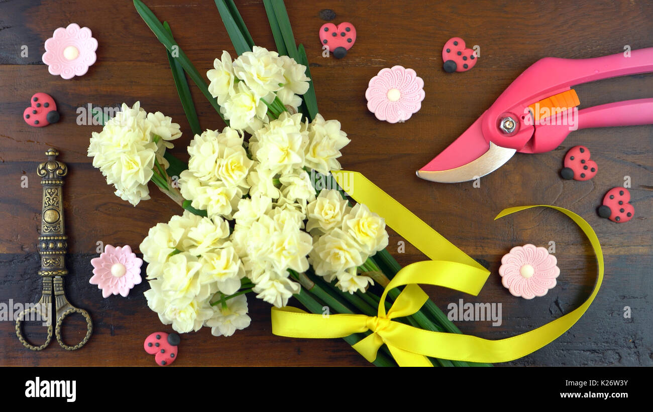 Spring ovehead with Springtime Erlicheer jonquil daffodils on a rustic wood table background. Stock Photo