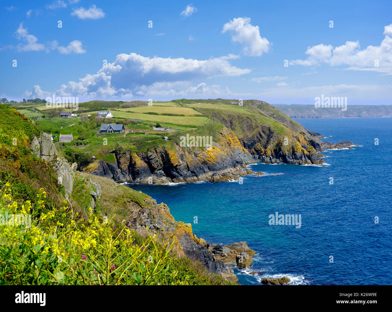 Cadgwith, Lizard Peninsula, Cornwall, England, United Kingdom Stock Photo Alamy