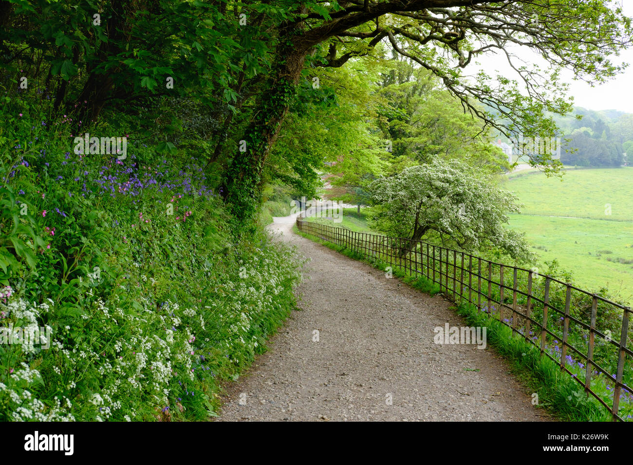 Hiking trail in Penrose, near Porthleven, Cornwall, England, United Kingdom Stock Photo