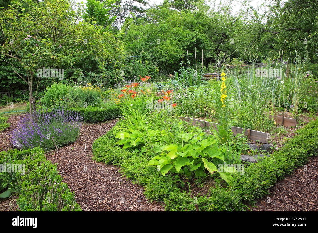 View of a farm garden with paths from barkweed, Germany Stock Photo