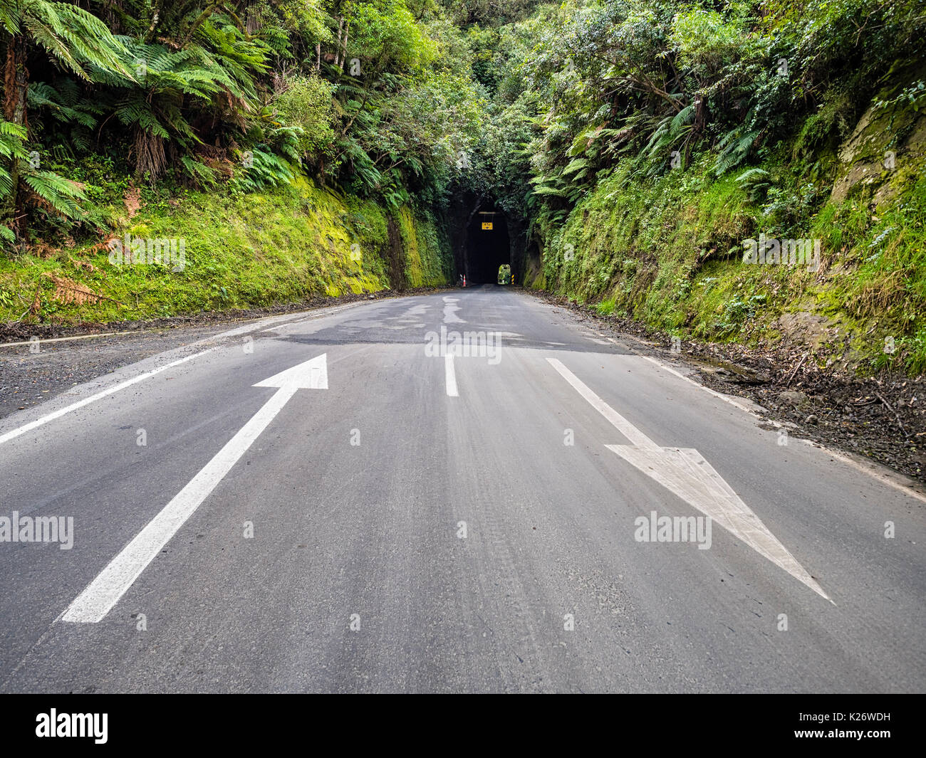 Tunnel, World Highway, Taranaki Region, North Island, New