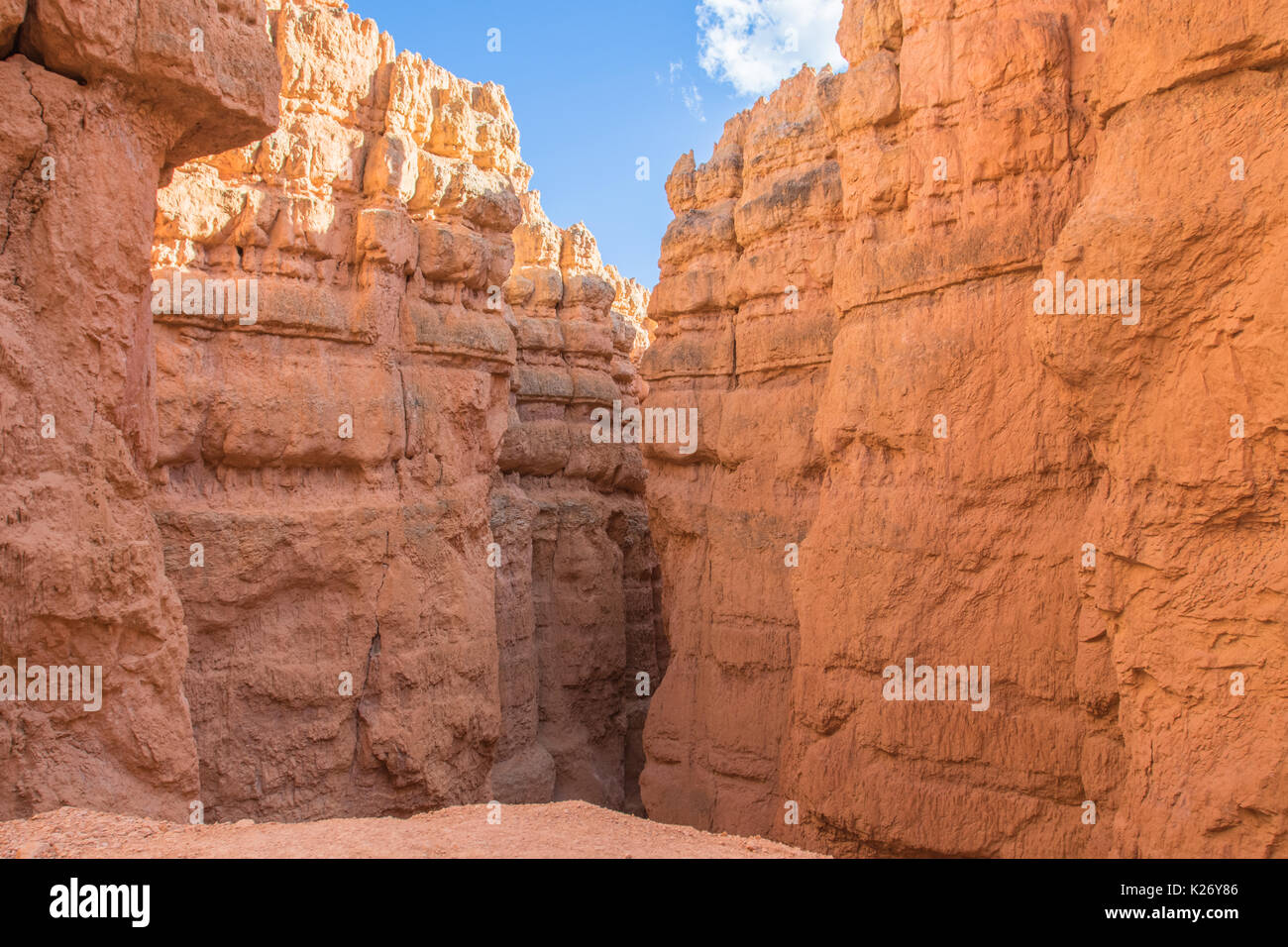Inside an amphitheater in Bryce Canyon National Park, UT Stock Photo