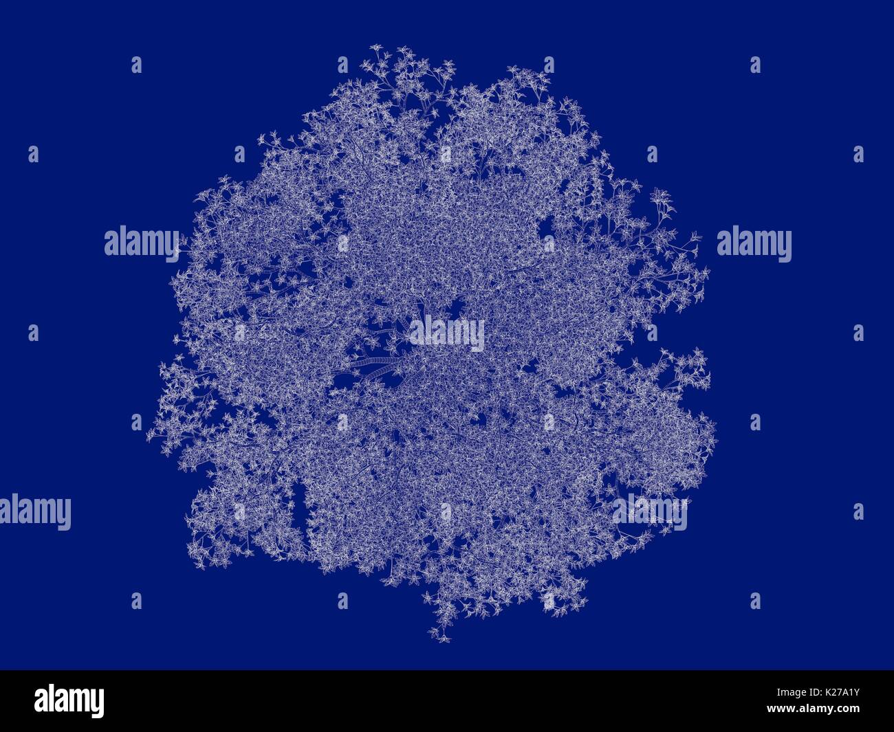 3d rendering of an outlined tree blueprint isolated on blue background ...