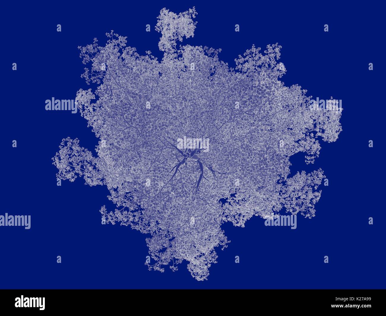 3d rendering of an outlined tree blueprint isolated on blue background ...