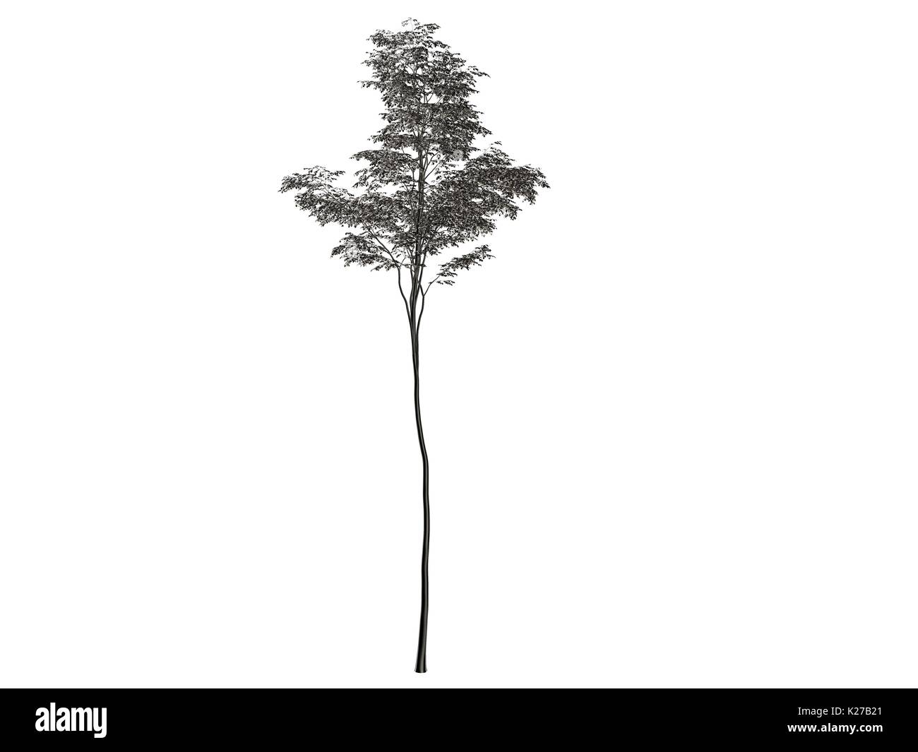 3d rendering of a silver tree isolated on a white background Stock ...