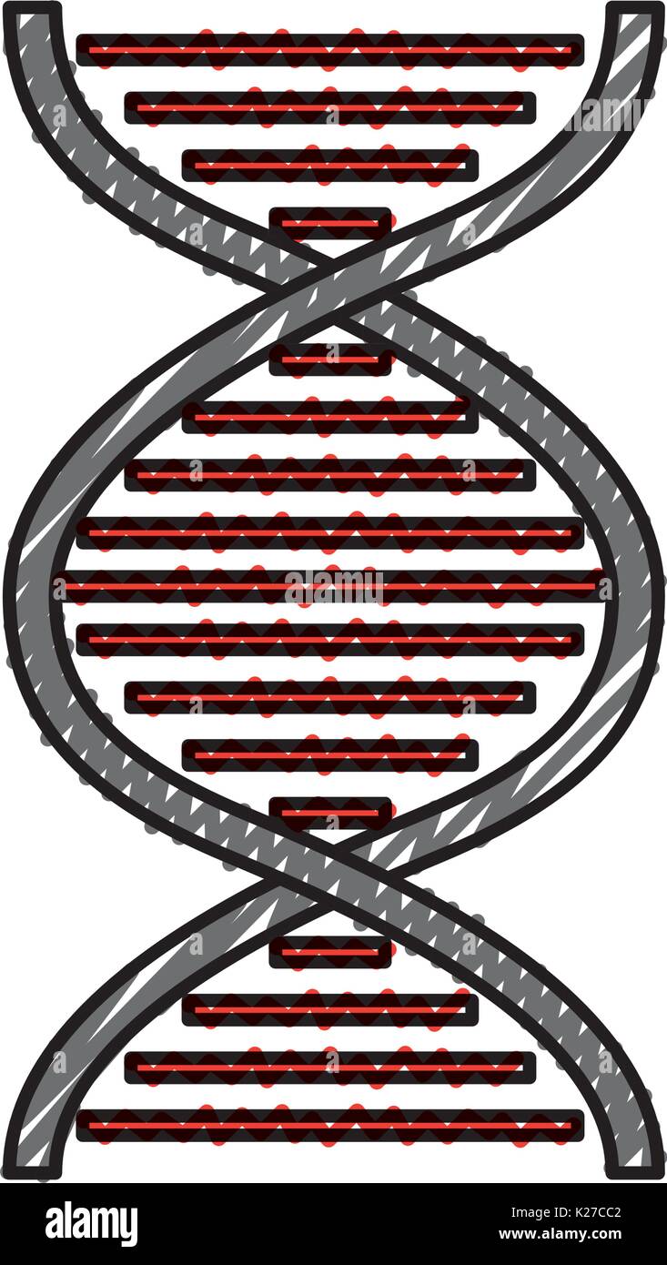dna molecule isolated icon Stock Vector Image & Art - Alamy