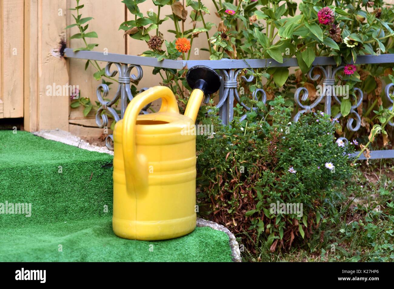 Yellow water bucket on stone steps cottage front Stock Photo