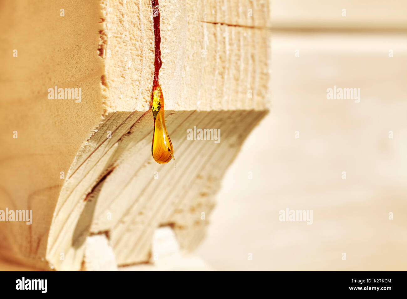 Close up picture of a resin drop on a wood construction, shallow depth of field. Stock Photo