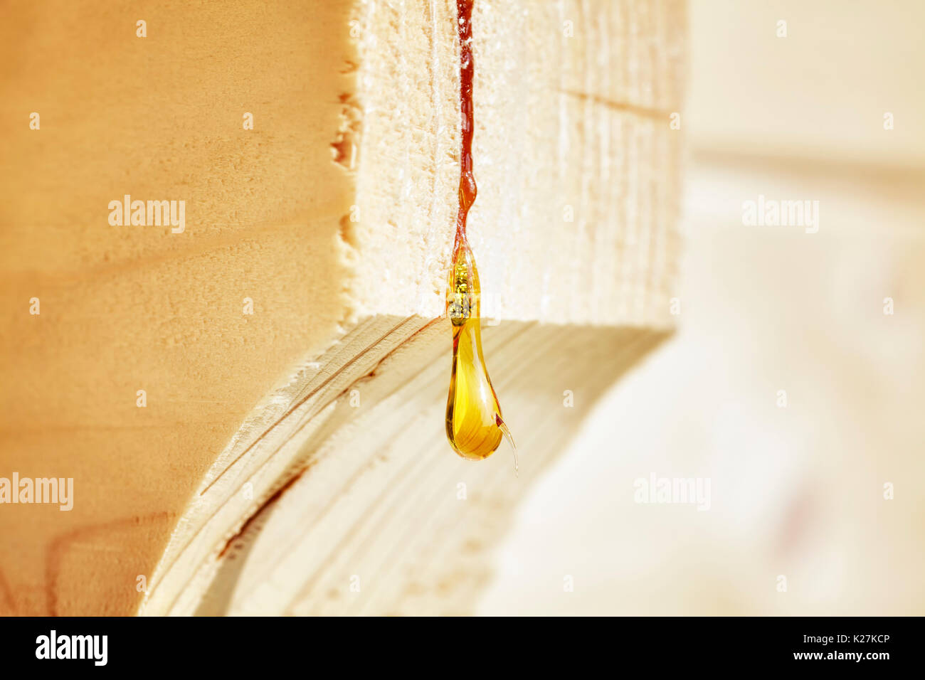 Close up picture of a resin drop on a wood construction, shallow depth of field. Stock Photo