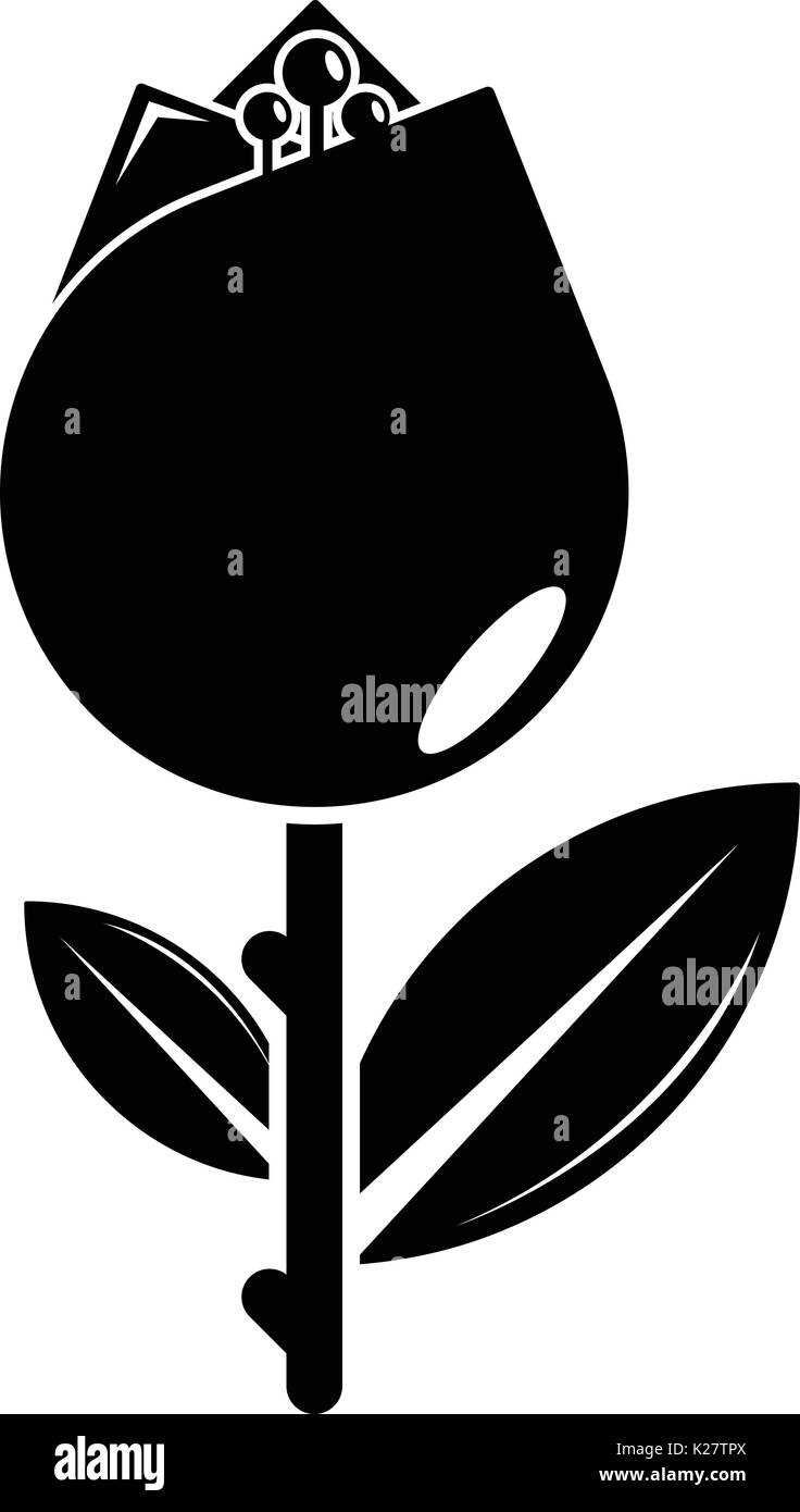 Tulip icon, simple black style Stock Vector Image & Art - Alamy