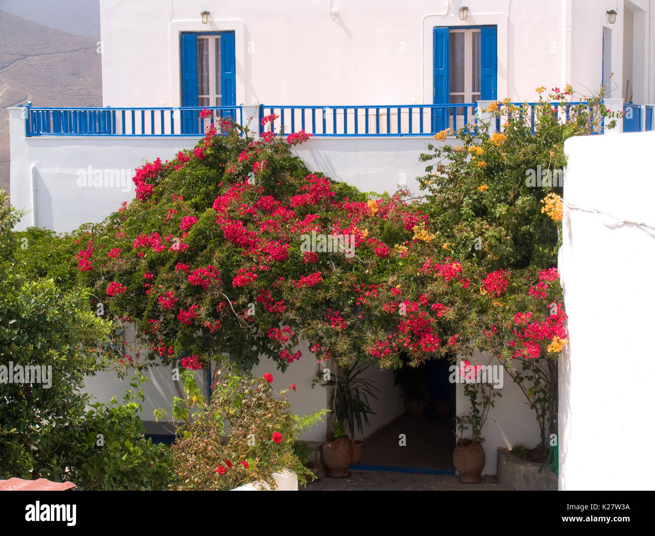 europe, greece, dodecanese, astypalea island, traditional house, bouganville Stock Photo