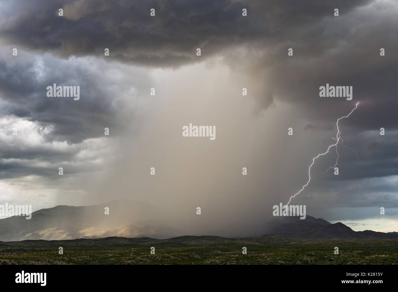 Dramatic monsoon thunderstorm with heavy rain and lightning bolt over the Rincon Mountains near Tucson, Arizona Stock Photo