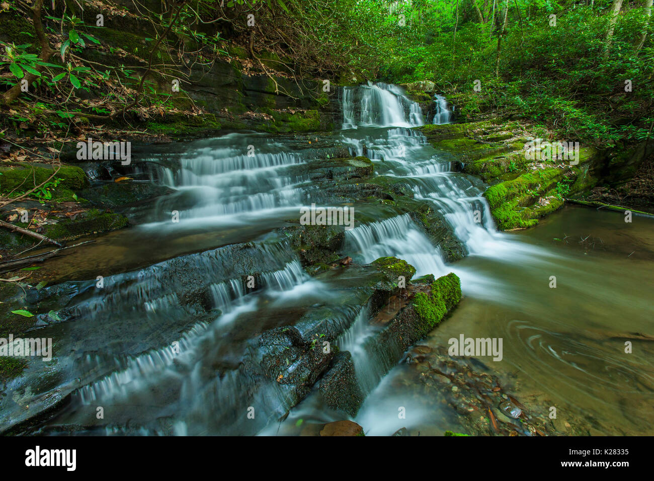 Waterfalls on Rhododendron Creek in Greenbrier, Great Smoky Mountains