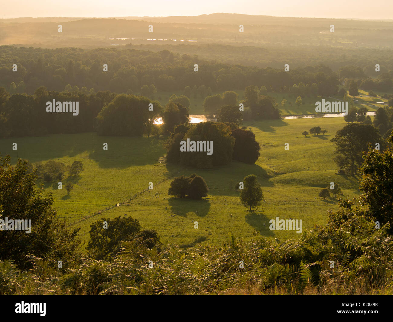 The grounds of Longleat, Wiltshire, at the end of a hot August Bank Holiday Stock Photo