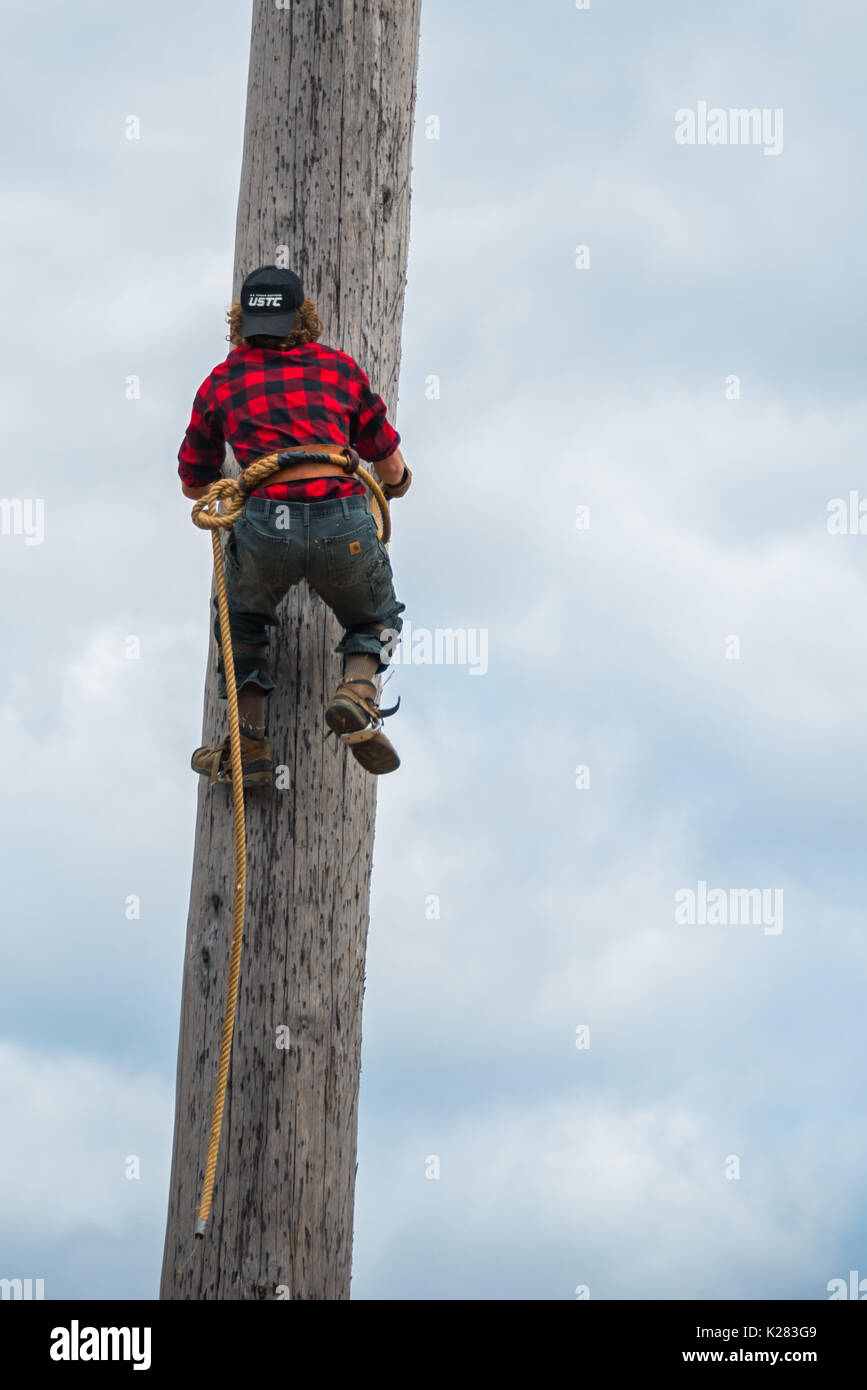 Competition of lumberjacks hires stock photography and images Alamy