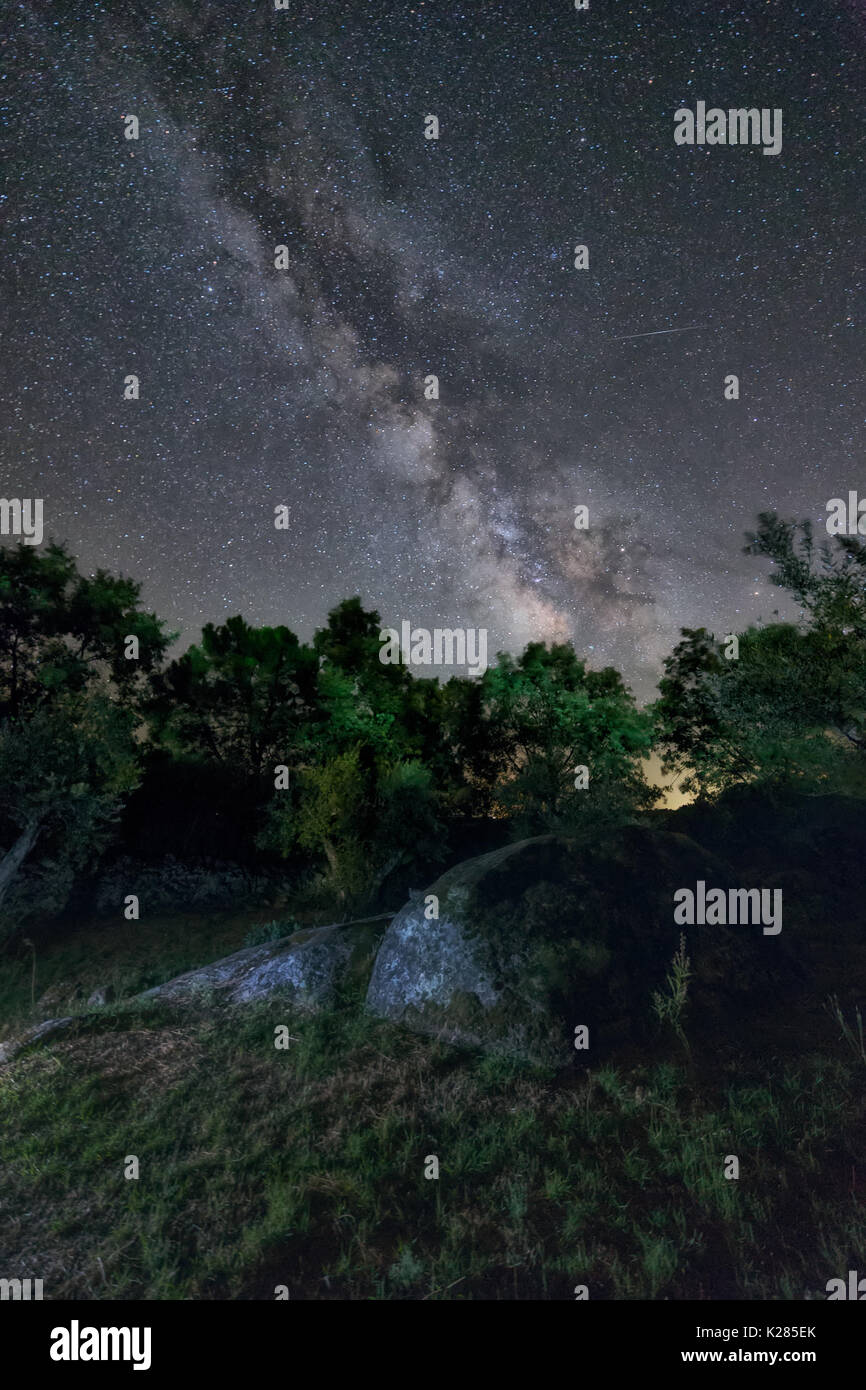 Milky Way arch over olive trees Stock Photo