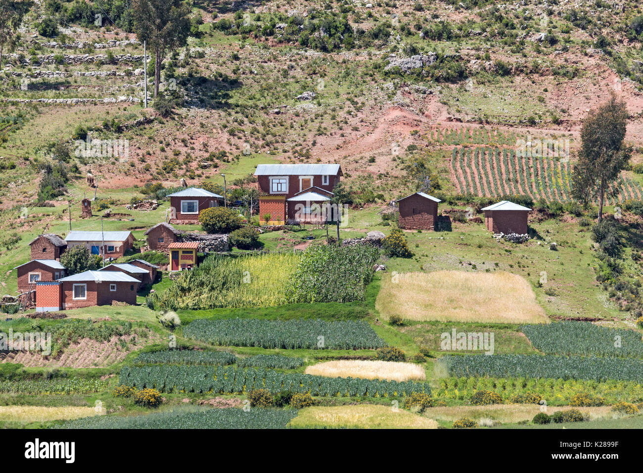 Homes on islands in Lake Titicaca Peru Stock Photo Alamy