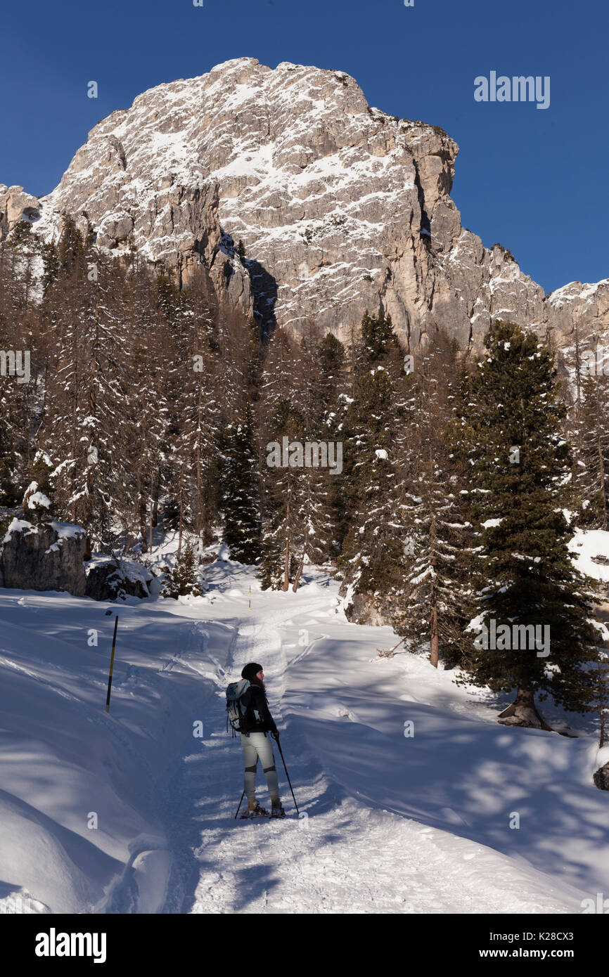 Cadini di Misurina, Dolomites, Auronzo, Belluno, Cadore, Italy. Stock Photo