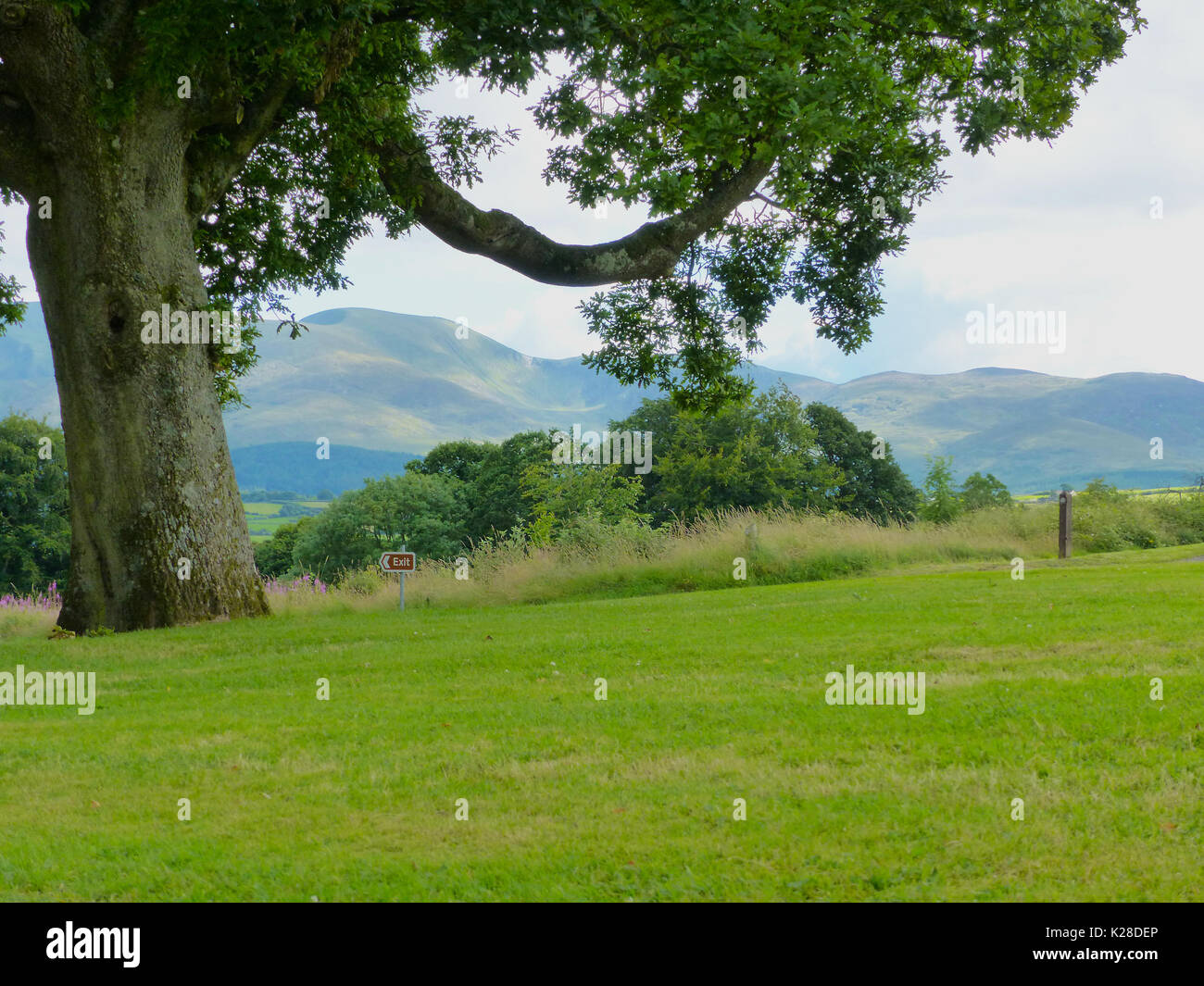 A view of the Mountains of Mourne in County Down in Northern Ireland from Castlewellan Forest Park Stock Photo