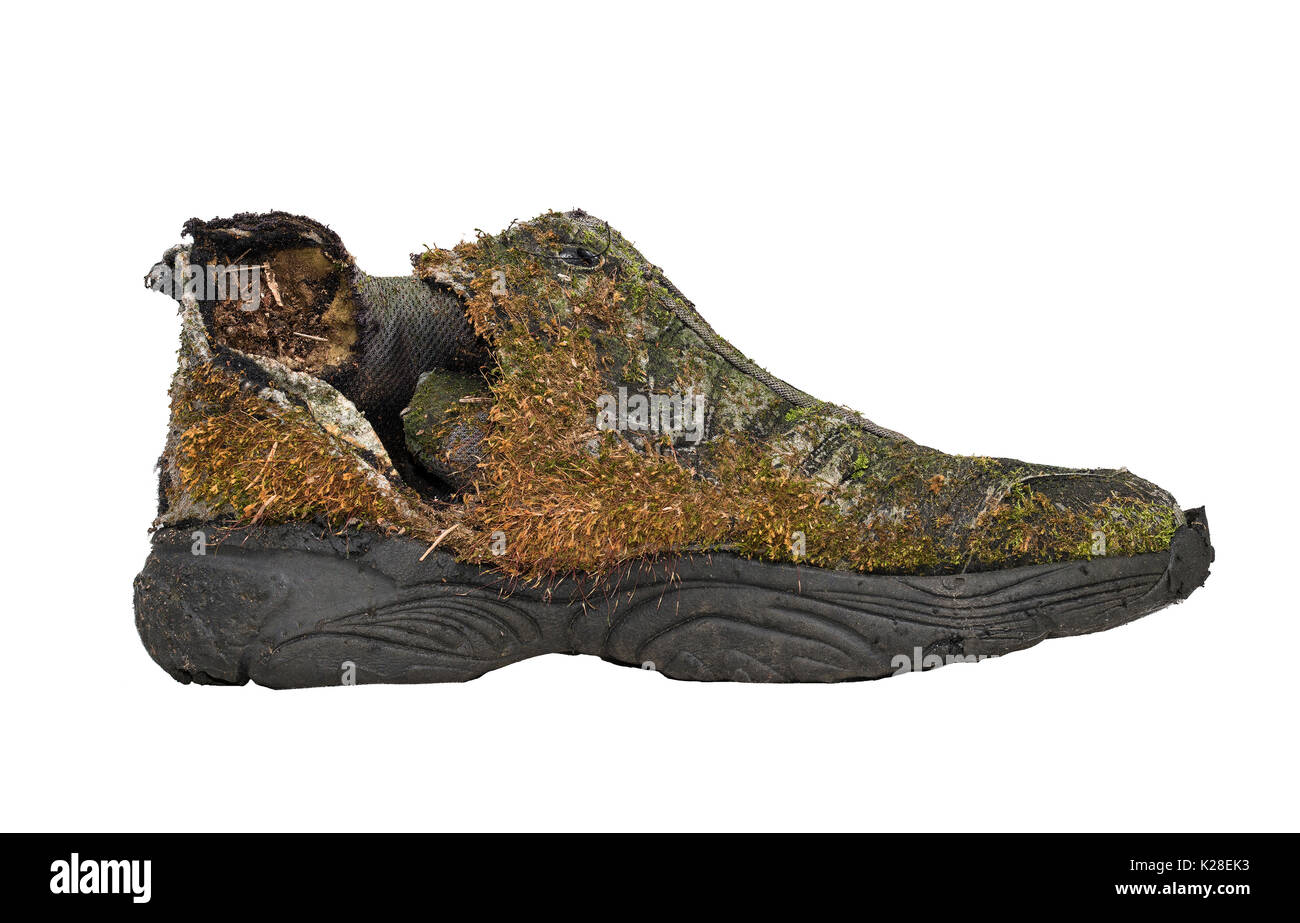 Old shoe covered with moss all over it Stock Photo Alamy