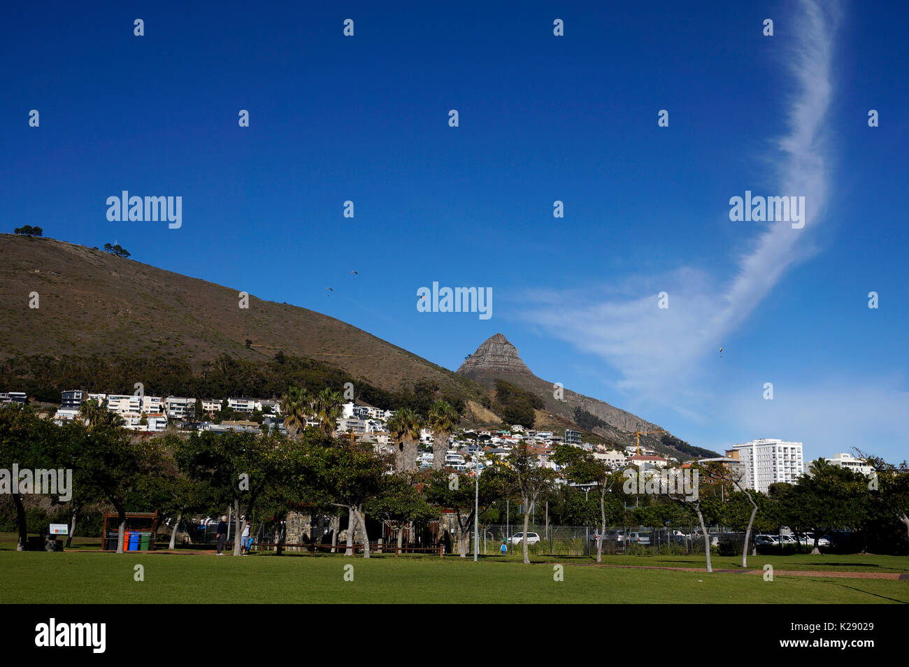 Green Point Urban Park & Biodiversity Garden With Lion's Head In The 