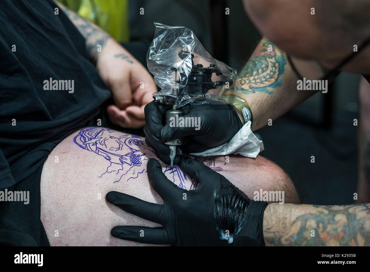 Tattooing. A tattooist applying a design to a customers thigh at the Cornwall Tattoo Convention. Stock Photo