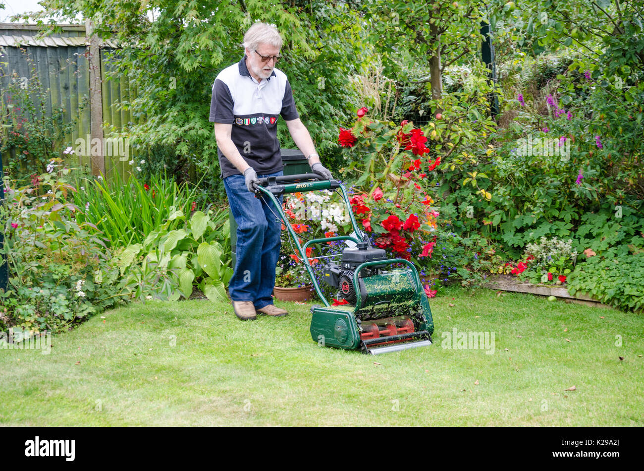 A man cuts his back lawn with a petrol powered lawn mower. Stock Photo