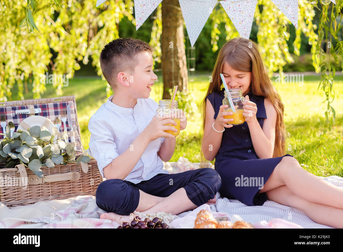 Kids outdoor birthday party picnic hi-res stock photography and images ...