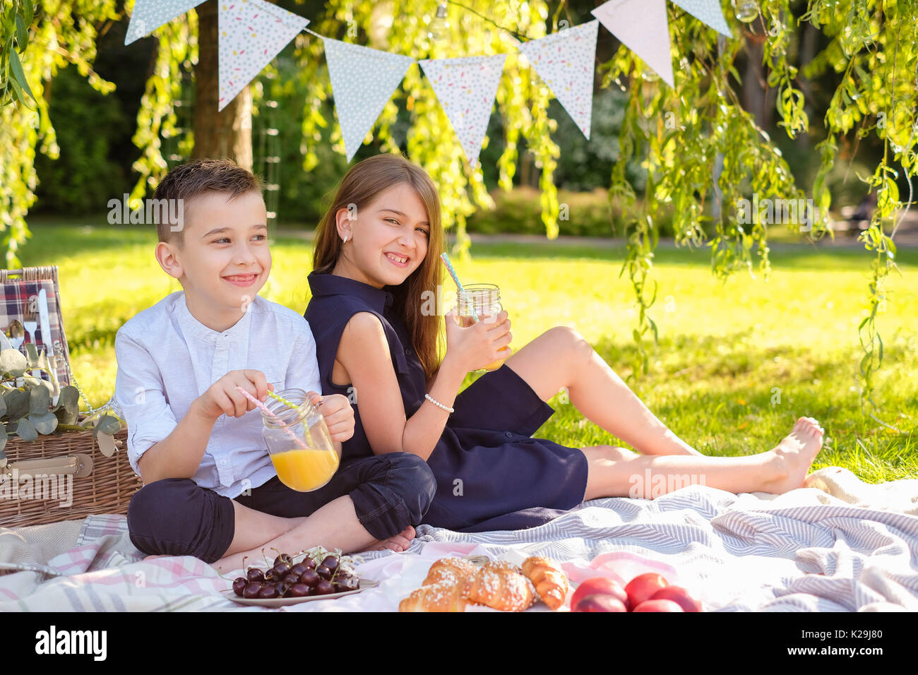 Family picnic in the park Stock Photo Alamy