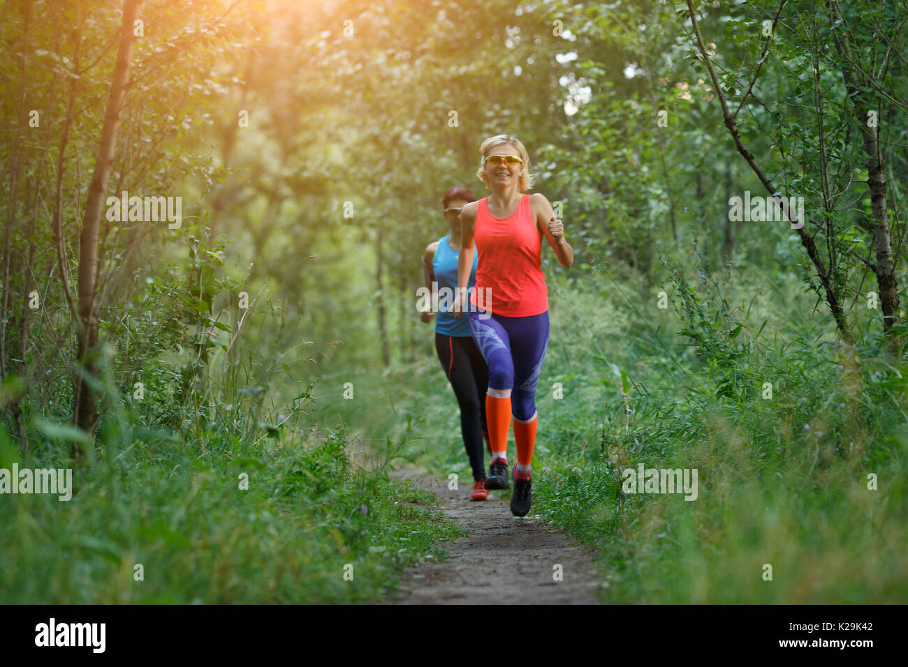 Athletes on run through forest Stock Photo